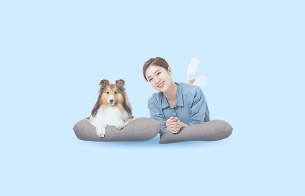 웹투어 댕댕이 동반 숙박 상품 5% 즉시 할인